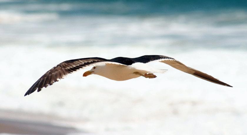 Aparthotel Floripa Barra Flats Florianópolis Zewnętrze zdjęcie